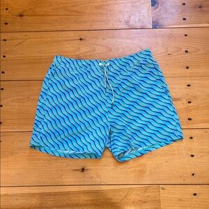 Fair Harbor Teal and Blue Patterned Swim Shorts